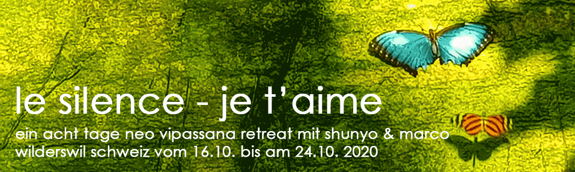 Vipassana-LP-Haeder-1120x236-300dpi-SR